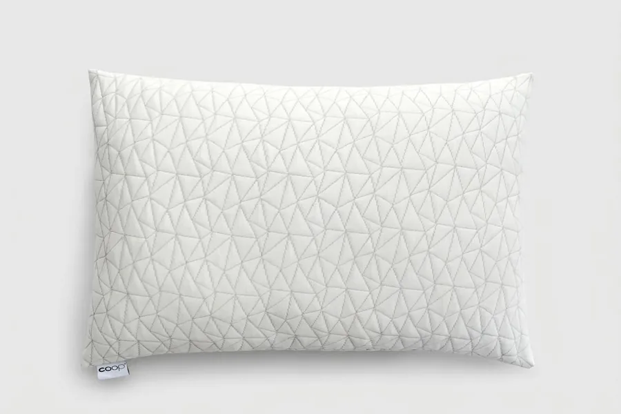 Coop Home Goods Original pillow